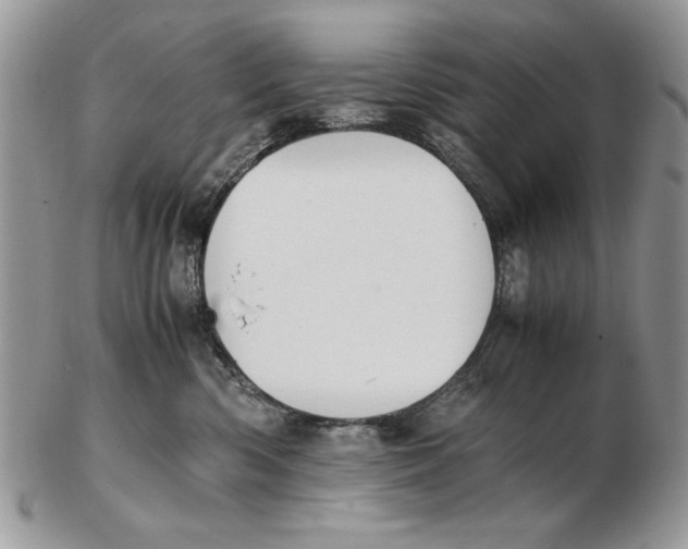X0000102390426200808221829