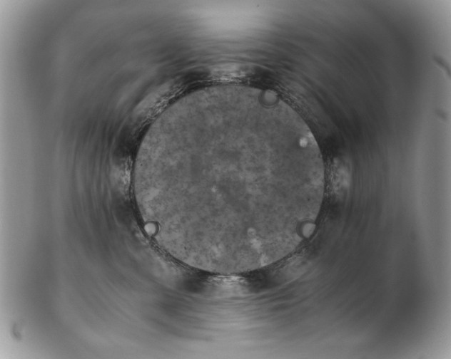 X0000102390427200808221829