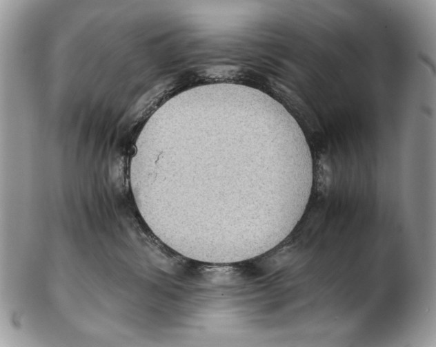 X0000102390428200808221829