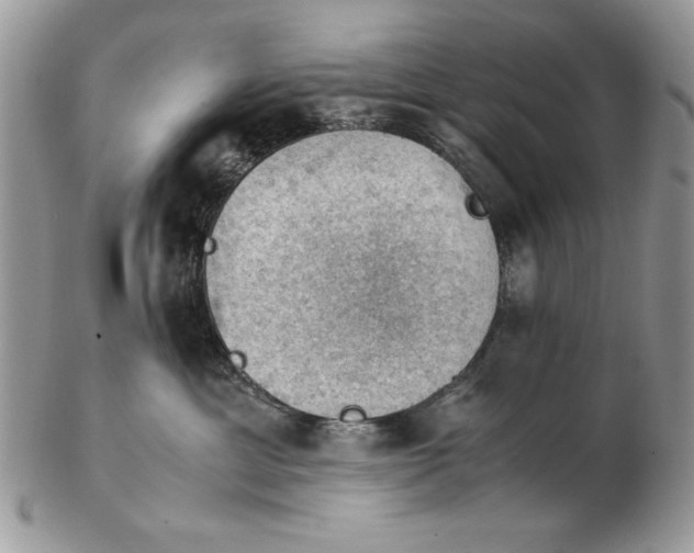 X0000102390429200808221829