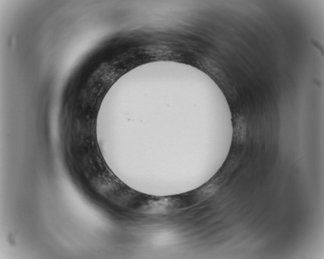 X0000102390430200808221829