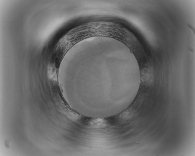 X0000102390431200808221829