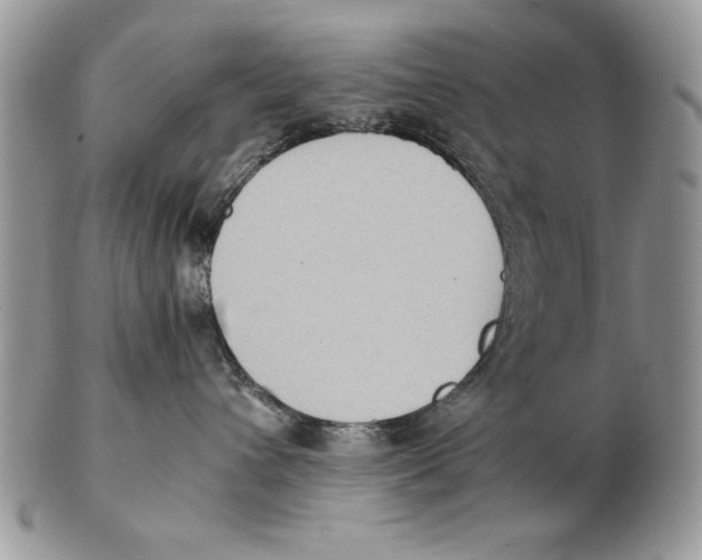 X0000102390432200808221829