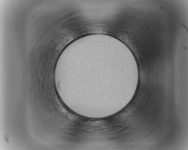 X0000102390433200808221828