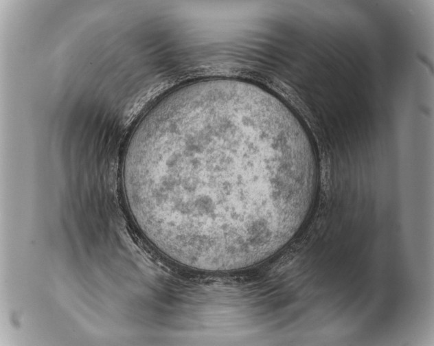 X0000102390434200808221828