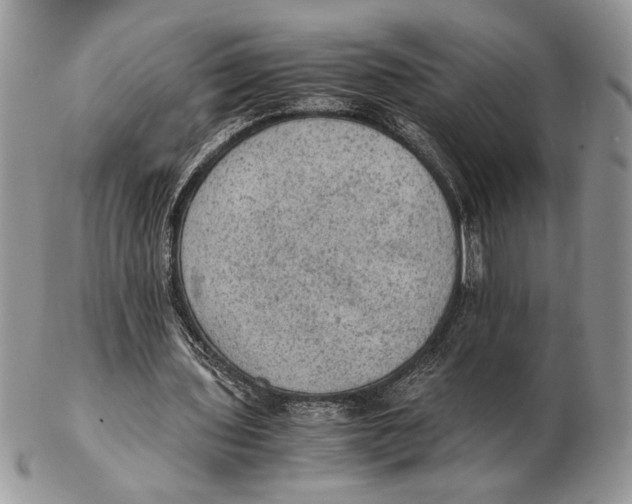 X0000102390435200808221828