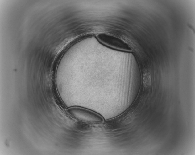 X0000102390436200808221828