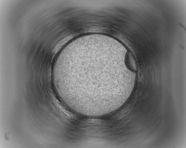 X0000102390437200808221828