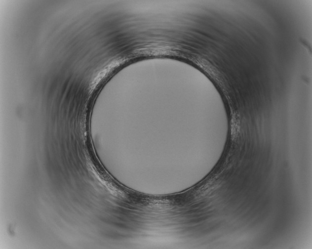 X0000102390438200808221828