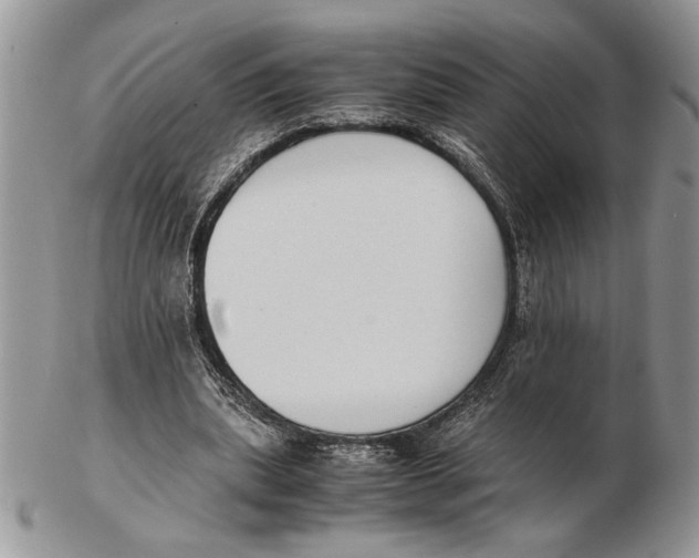 X0000102390439200808221828