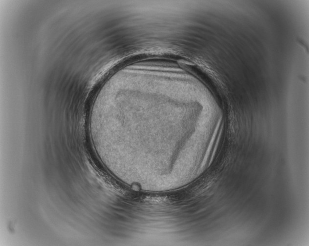 X0000102390440200808221828