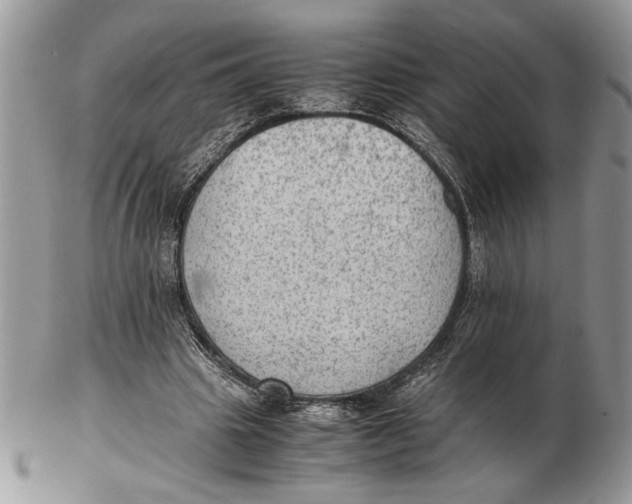 X0000102390441200808221828