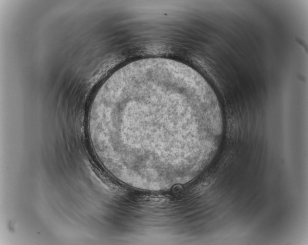 X0000102390443200808221828