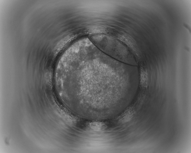 X0000102390444200808221828