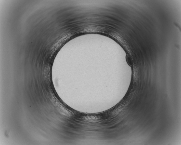 X0000102390445200808221828