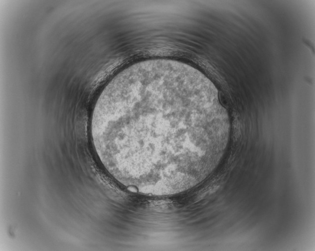 X0000102390446200808221828