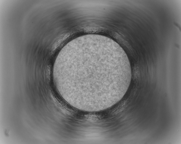 X0000102390448200808221828