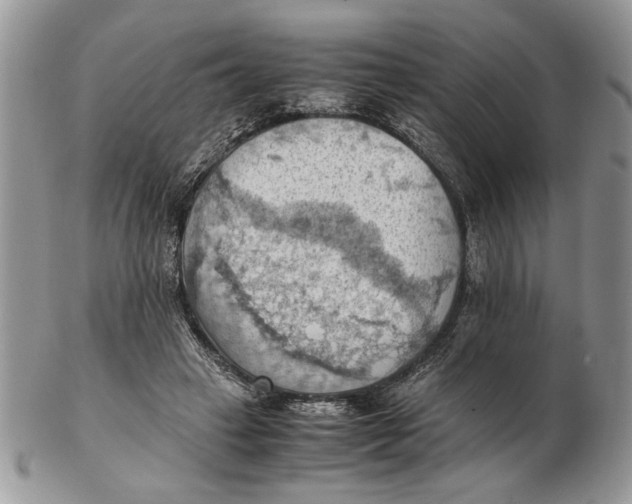 X0000102390449200808221828