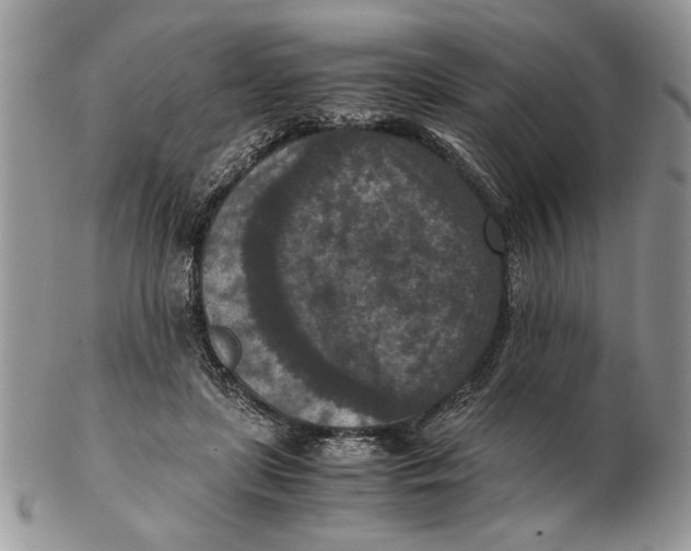 X0000102390451200808221828