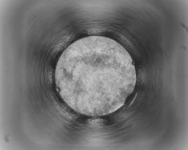 X0000102390452200808221828