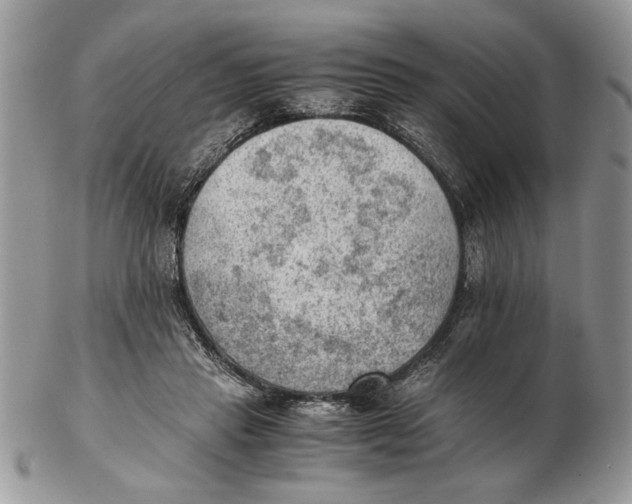 X0000102390453200808221828
