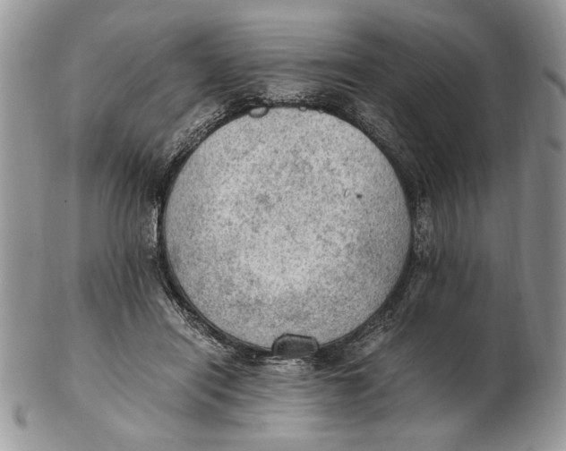 X0000102390454200808221828