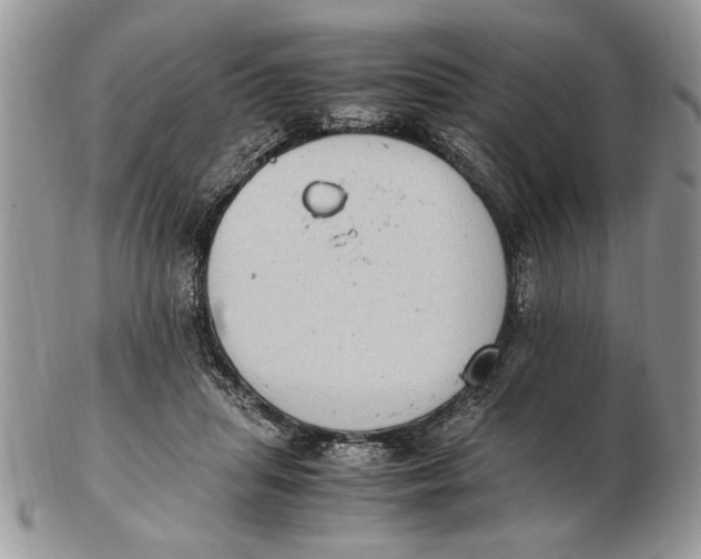 X0000102390455200808221828