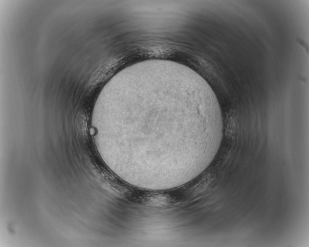 X0000102390456200808221828