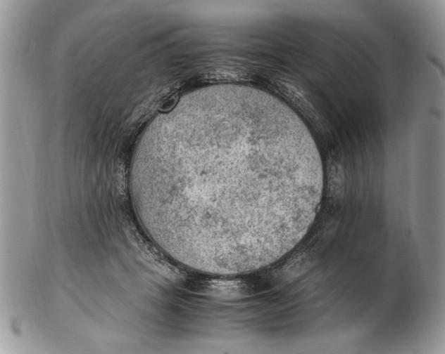 X0000102390457200808221828