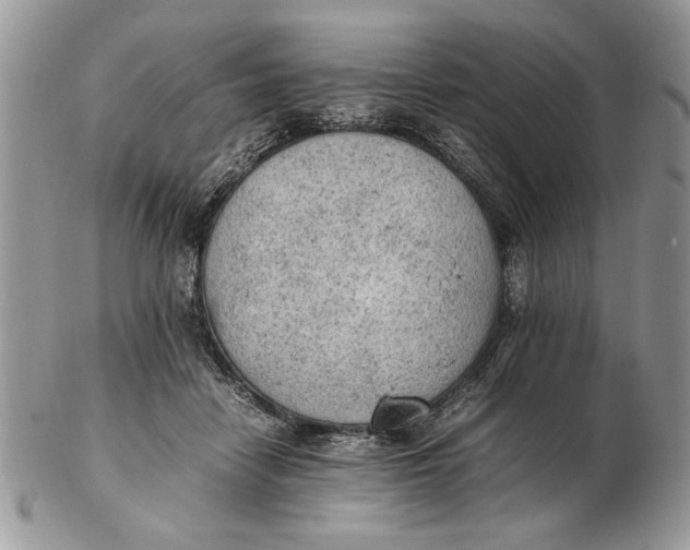 X0000102390458200808221828