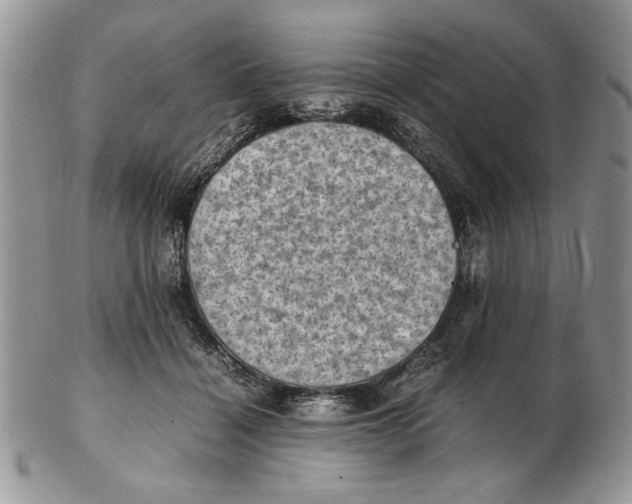 X0000102390460200808221829
