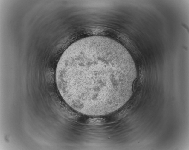 X0000102390461200808221829
