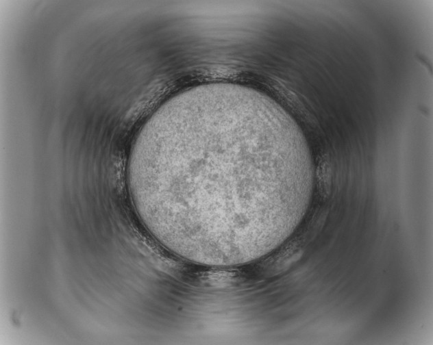 X0000102390462200808221829