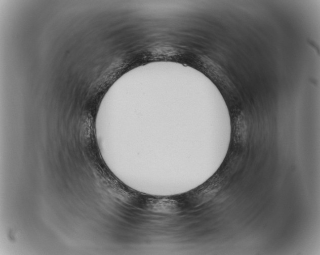 X0000102390463200808221829