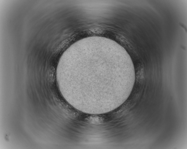 X0000102390464200808221829