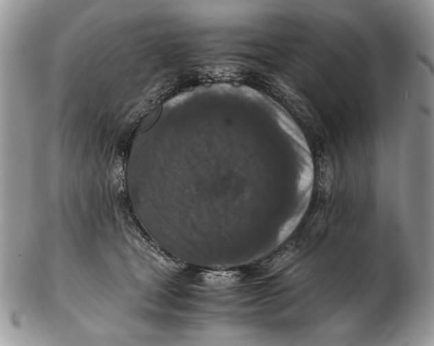 X0000102390465200808221829