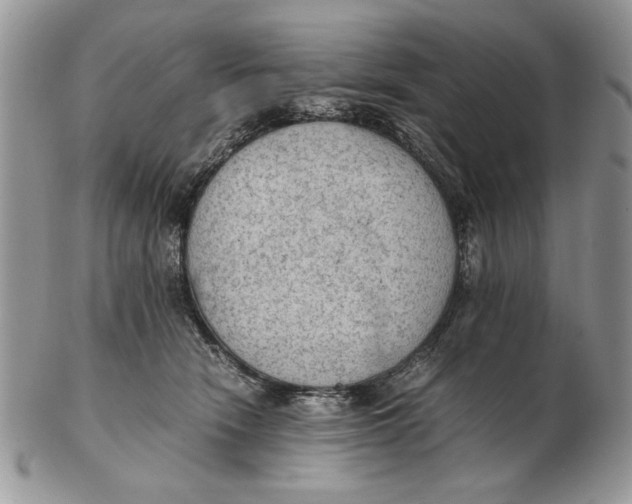 X0000102390466200808221829