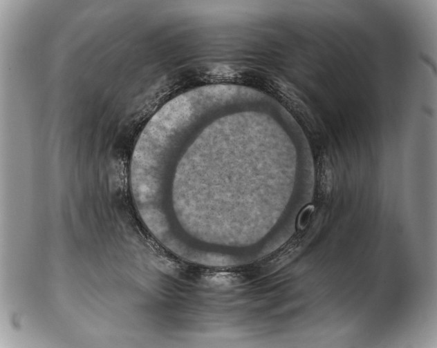 X0000102390467200808221829