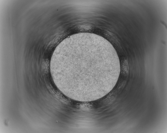 X0000102390468200808221829