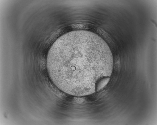 X0000102390469200808221829