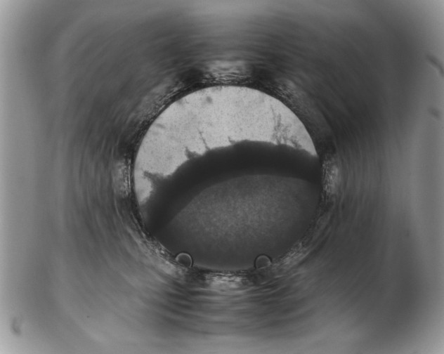 X0000102390471200808221829