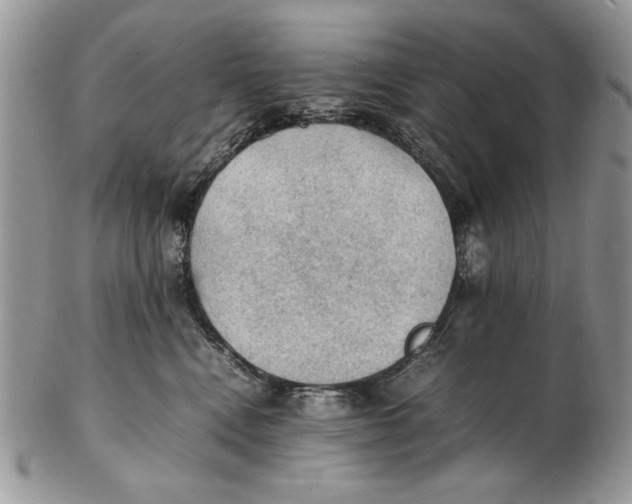X0000102390472200808221829