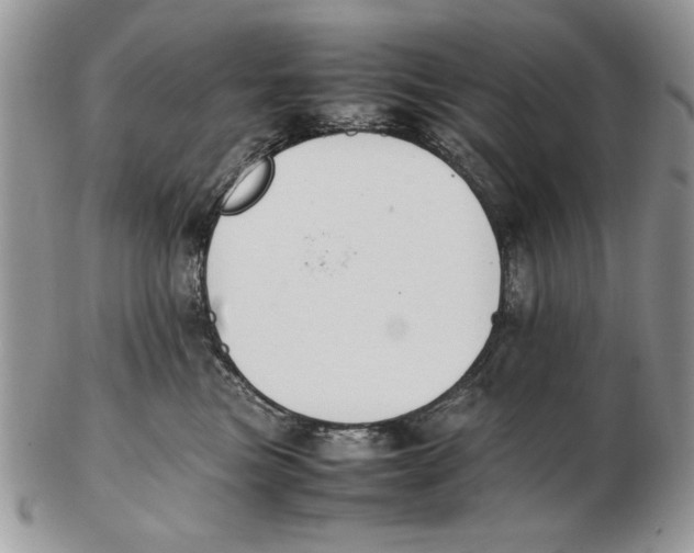 X0000102390473200808221829