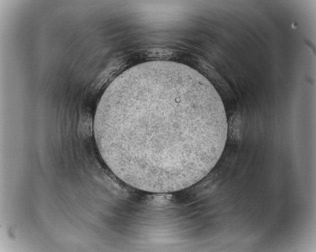 X0000102390474200808221829