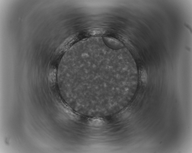 X0000102390475200808221829