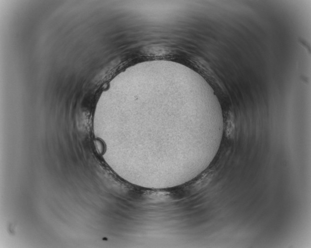 X0000102390476200808221829
