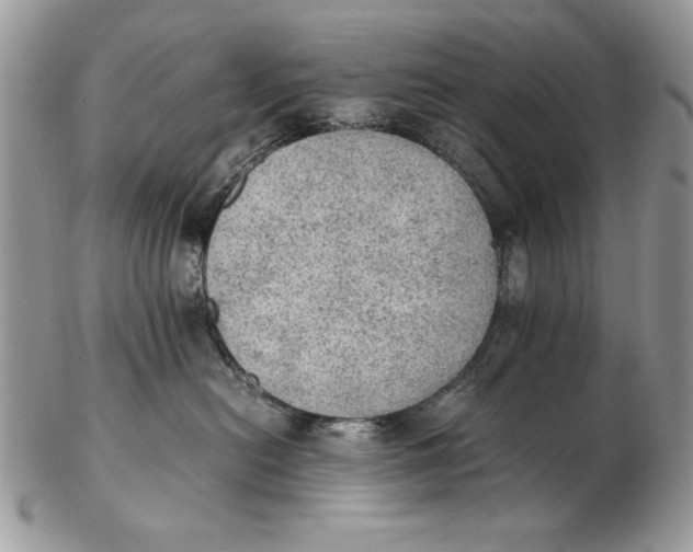 X0000102390478200808221829