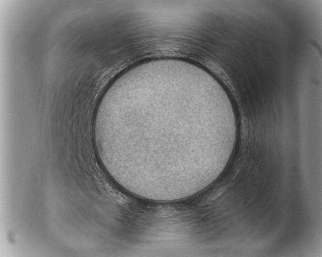 X0000102390481200808221828