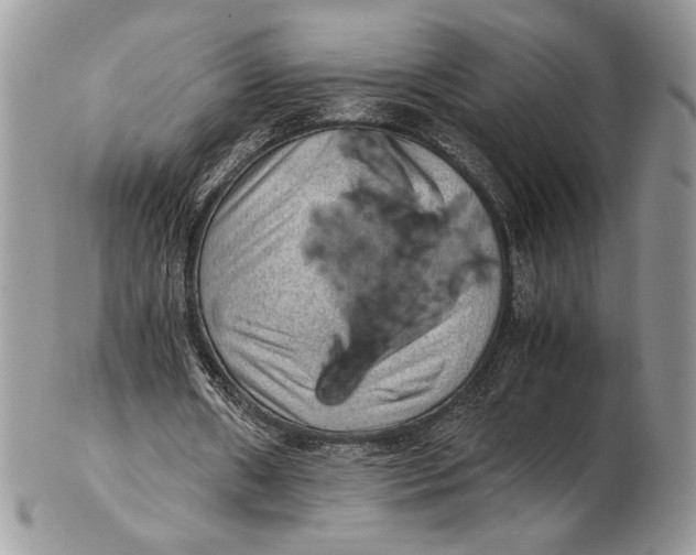 X0000102390482200808221828