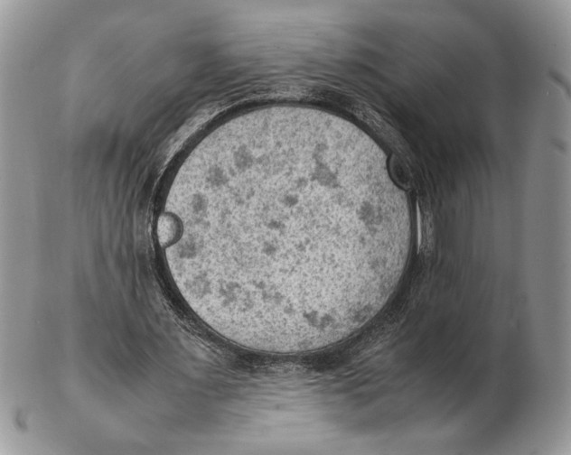 X0000102390483200808221828